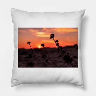 Orange dunes sunset Pillow