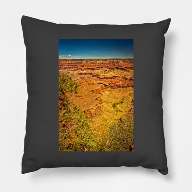 Rim Trail Viewpoint Grand Canyon Pillow by Gestalt Imagery