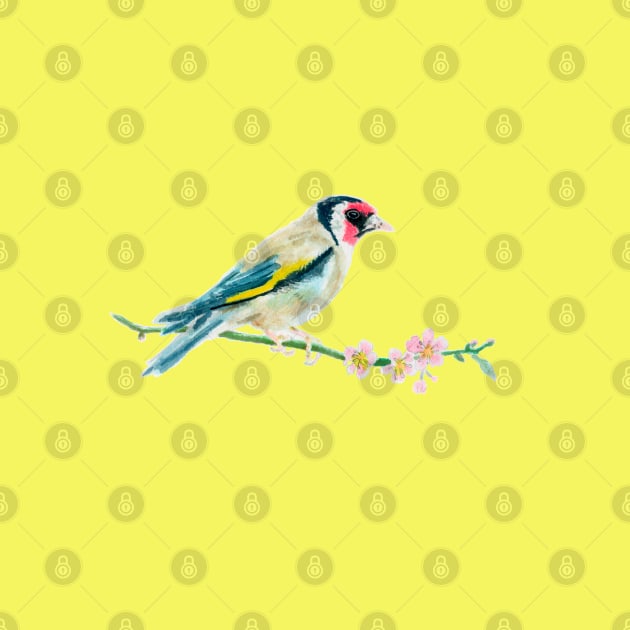 European goldfinch by Slownessi