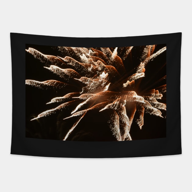 Fireworks Tapestry by Irene168