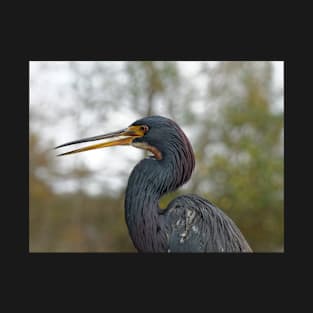 Tricolor Heron Calling Out T-Shirt