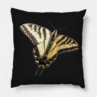 Western Tiger Swallowtail Butterfly Sticker Pillow