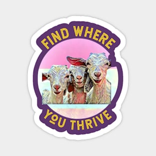 Find Where You Thrive (3 goats smiling) Magnet