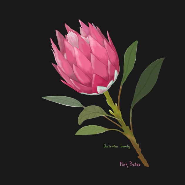 Australian Pink Protea by SoozieWray