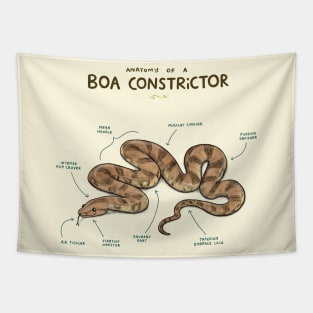 Anatomy of a Boa Constrictor Tapestry