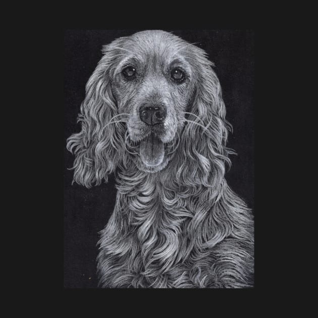 Cocker Spaniel by VeriArt