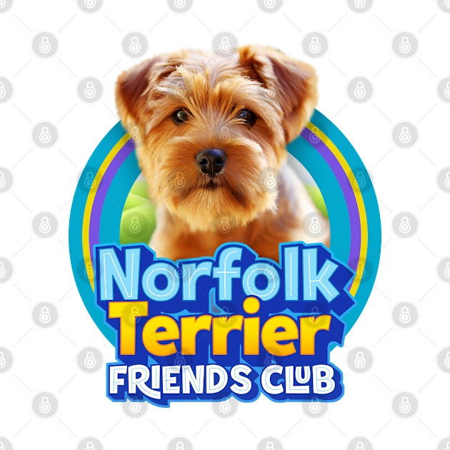 Norfolk Terrier by Puppy & cute