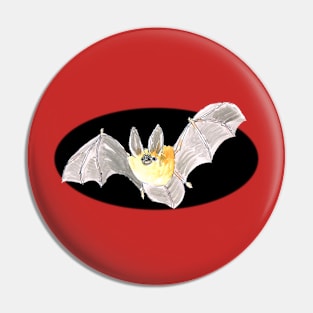 Bat outta Hell!...:o) Pin