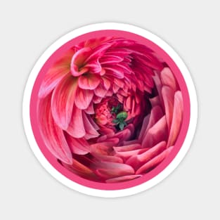 Dahlia - Back Graphic Magnet