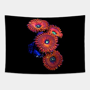 Zoanthids Tapestry