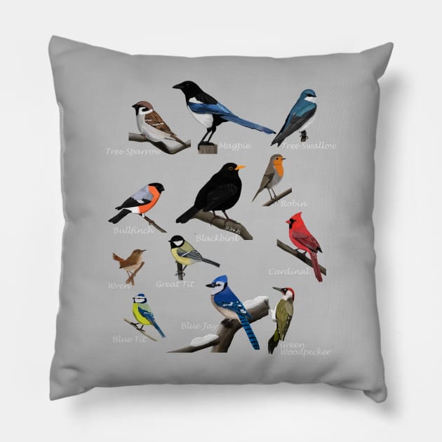 Backyard Birds Sparrow Cardinal Jay Wren Illustration Pillow by jzbirds