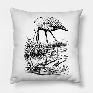 Vintage Flamingo bird. Pillow