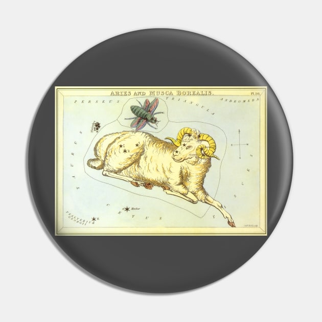 Aries the Ram, from Urania's Mirror, Vintage Signs of the Zodiac Pin by MasterpieceCafe