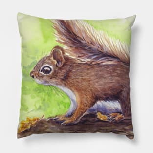 Squirrel Pillow