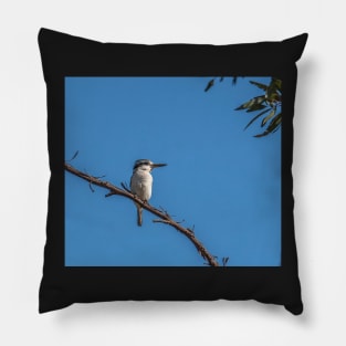 Red-backed Kingfisher Pillow