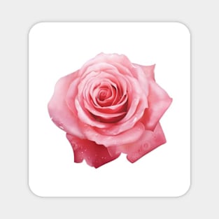 Roses Magnet