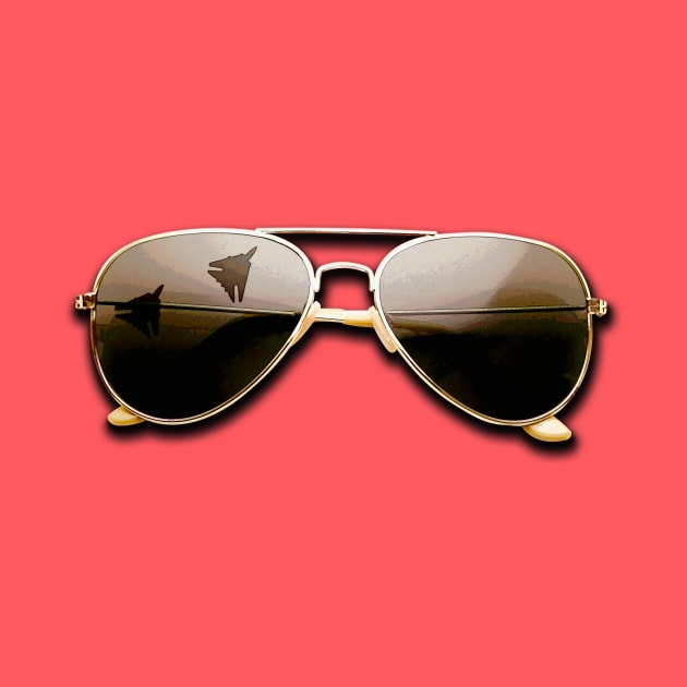 Top Gun Aviators by SchaubDesign