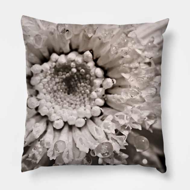 Cupping Crystals Pillow by micklyn