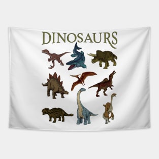 Various types of dinosaurs Tapestry