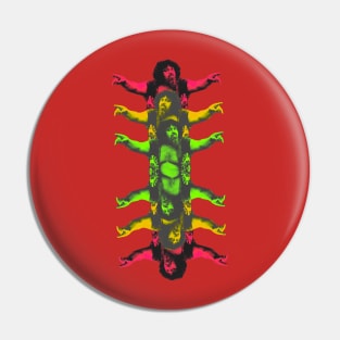 The Albano Centipede Pin