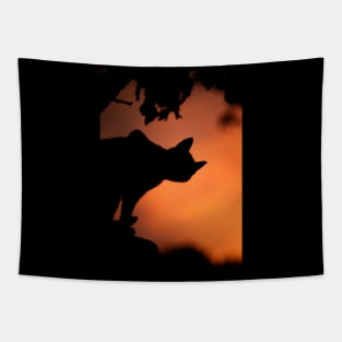 Black Cat Twilight - Halloween 2019 Tapestry