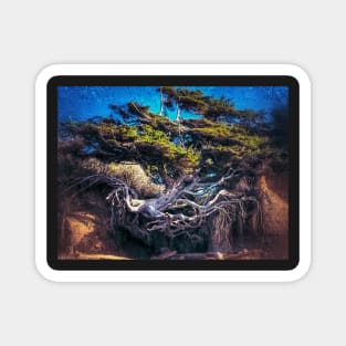 Kalaloch Tree of Life Surreal Magnet