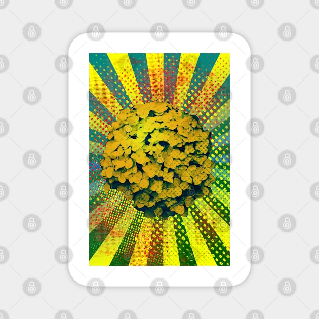 Copy of HORTENSIA 14 Magnet by NYWA-ART-PROJECT