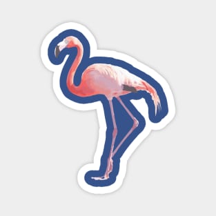 Flamingo #2 Magnet