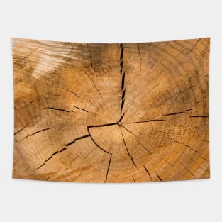 Wooden Tree Circle Texture - Alternative Tapestry