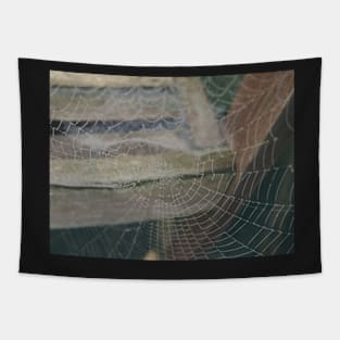 Spiderweb 2 Tapestry