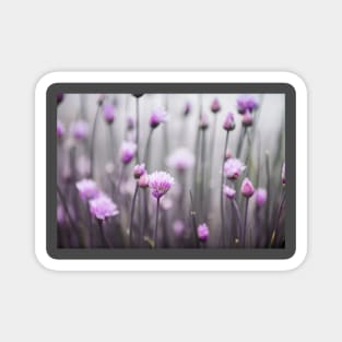 delicate wildflowers Magnet