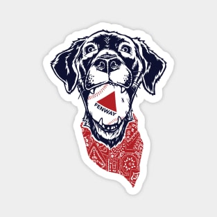 Fenway Baseball Dog Magnet