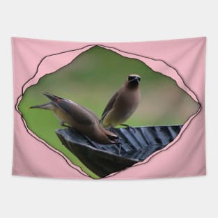 Cedar Waxwing through Torn Cloth Tapestry