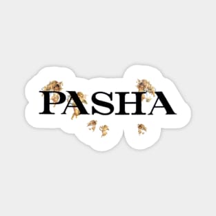 Pashanim Logo Magnet