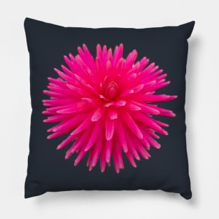 Red Spikes Dahlia Flower Photo Cutout Pillow