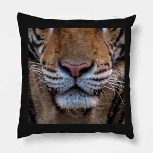 tiger Pillow