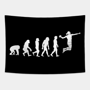 Evolution of Handball Girl - Funny Handball gift Tapestry