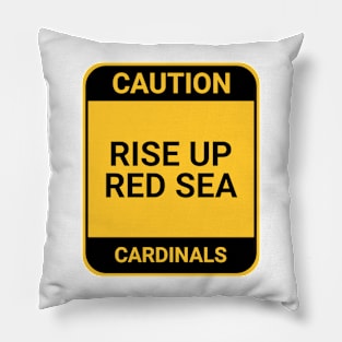 RISE UP RED SEA Pillow