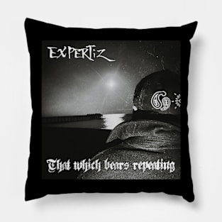 Experiz That which bears repeating Pillow