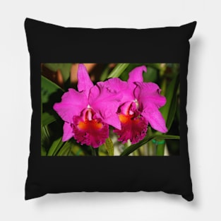 Bright Pink Orchids Pillow