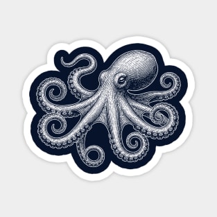 Octopus Magnet