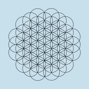 FLOWER OF LIFE T-Shirt