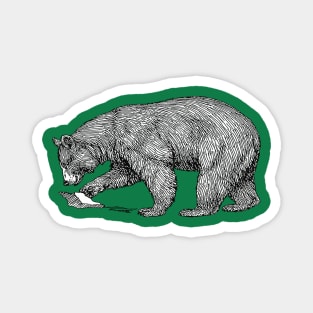 Mountain Bear Black On White Line Illustration Cut Out Magnet