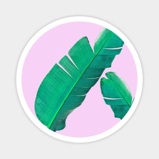 Banana Palm Leaves Magnet