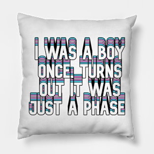 I was a boy once, turns out it was just a phase Pillow