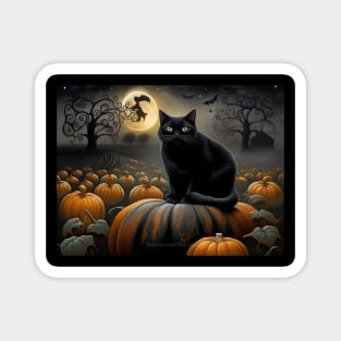 Black Cat in a pumpkin patch Magnet