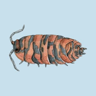 Porcellio scaber "Lava" Isopod T-Shirt