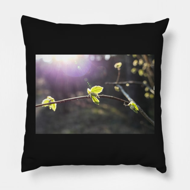 Illuminating young leaves Pillow by lightsfromspace