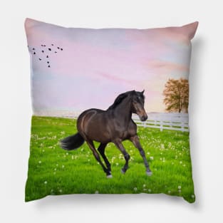 Black Stallion at Dawn Pillow