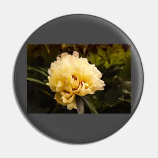 Vintage Yellow Peony Pin